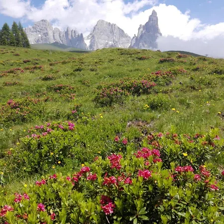 Affittacamere Sole Fiera Di Primiero